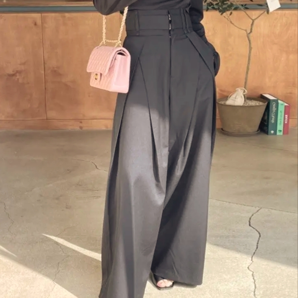 NWT High Waisted Pleated Pant